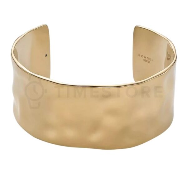 Skagen SKJ1877710